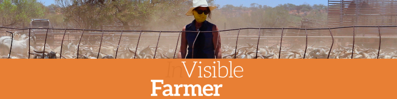 VisibleFarmer-Hero-Wide 800x200.png